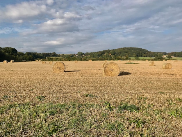 Foto heuballen auf dem feld gegen den himmel