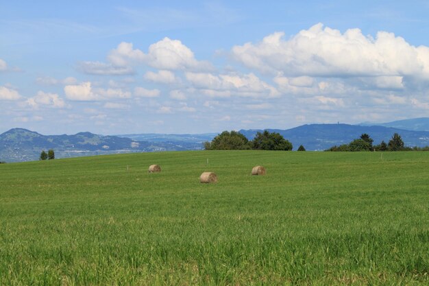 Heuballen auf dem Feld gegen den Himmel