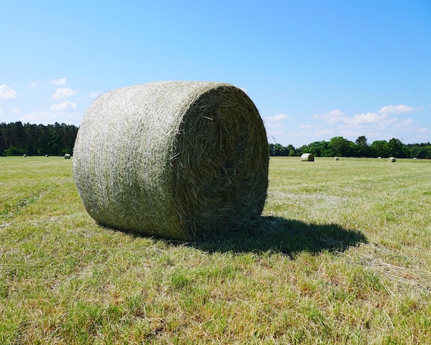 Heuballen auf dem Feld gegen den Himmel