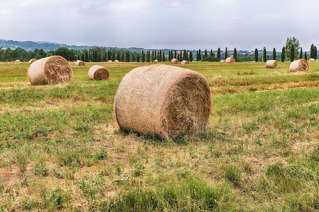 Heuballen auf dem Feld nach der Ernte, Landschaftslandschaft in Italien