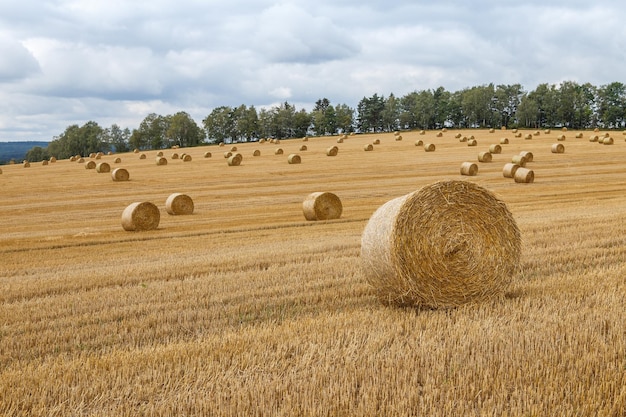 Heuballen auf dem Feld nach der Ernte