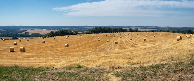 Heuballen auf dem Feld nach der Ernte