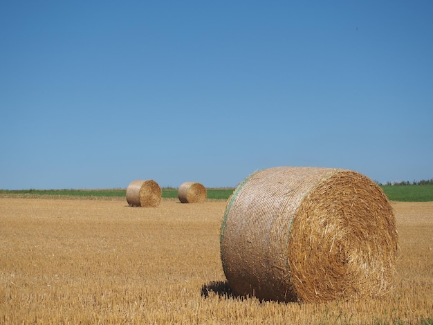 Heuballen auf dem Feld vor klarem Himmel