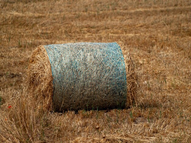 Foto heuballen auf dem feld