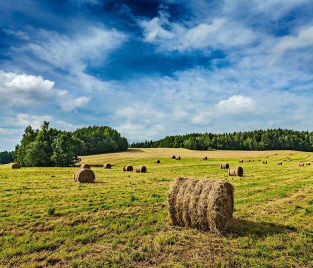 Heuballen auf dem Feld