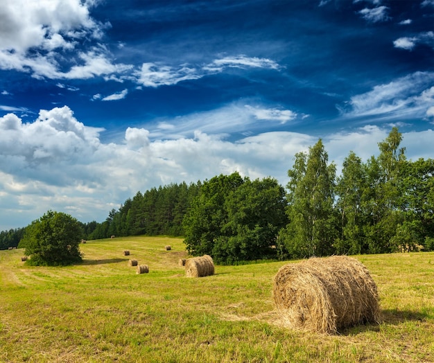 Heuballen auf dem Feld