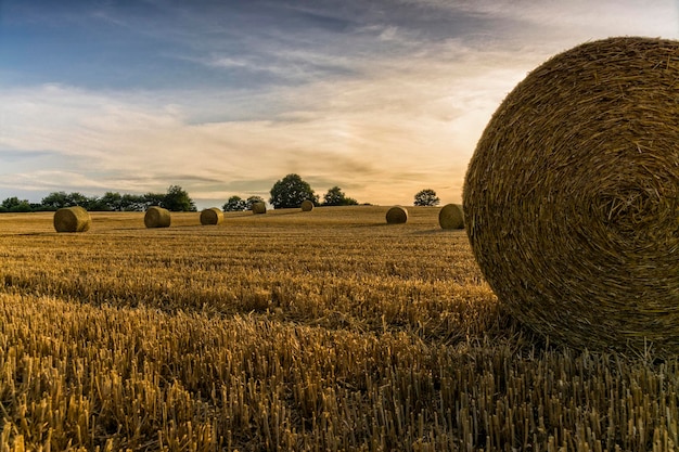 Heuballen auf der Landschaft gegen den Himmel