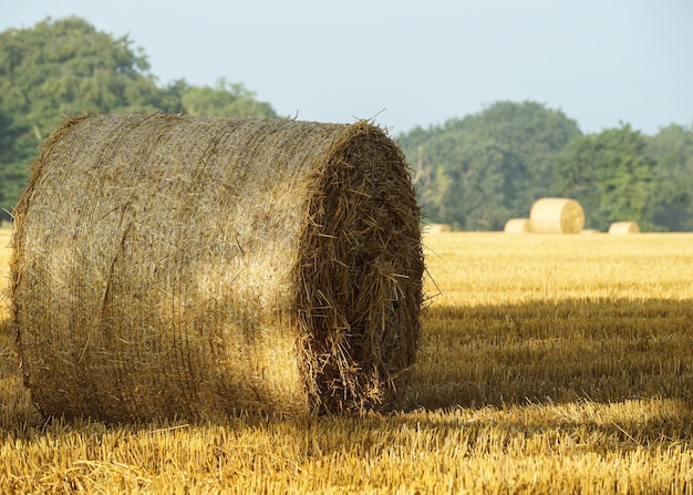 Heuballen auf der Landschaft gegen den Himmel