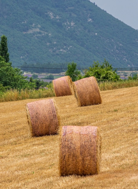 Heuballen auf einem Feld an einem Sommertag