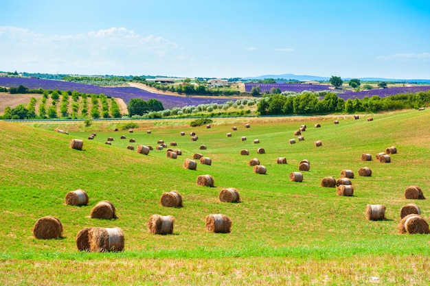 Heuballen auf einem Feld in der Provence, Frankreich. Sommerlandschaft