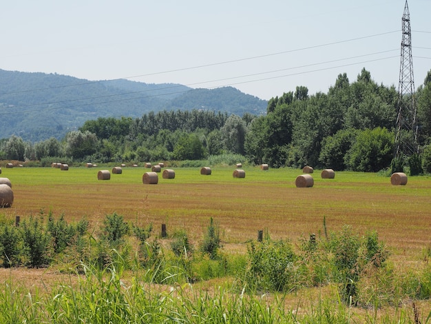 Heuballen auf einem Feld