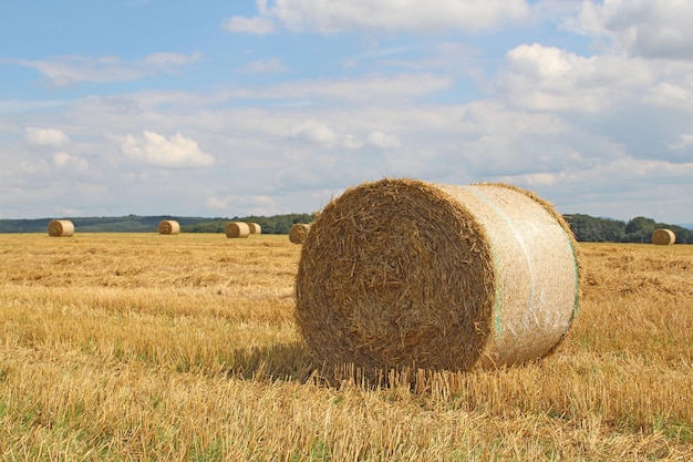 Heuballen auf einem grasbewachsenen Feld gegen den Himmel