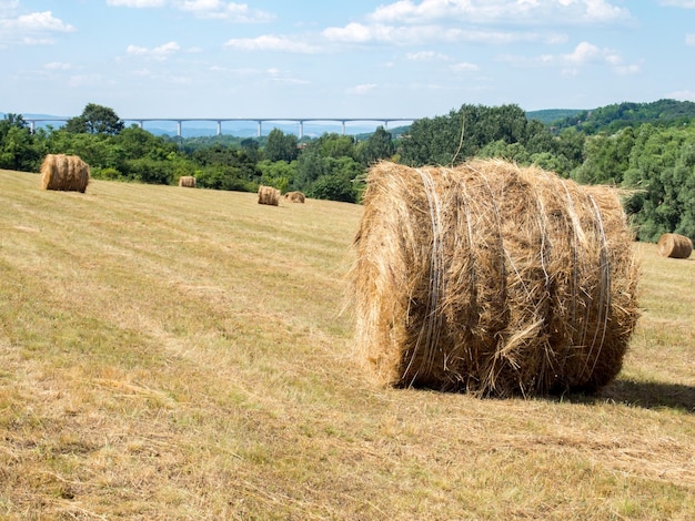 Heuballen auf Sand gegen den Himmel