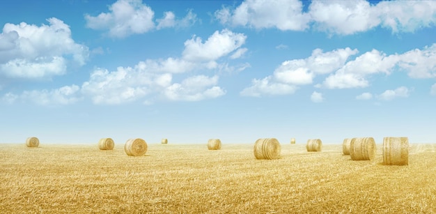 Heuballen in einem Feld von getrocknetem gelbem Gras unter blauem Himmel mit Wolken Landschaft