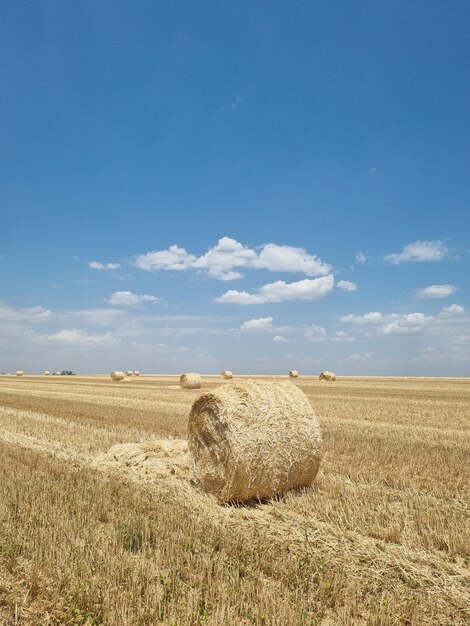 Heuballen. Landwirtschaftsfeld mit Himmel. Ländliche Natur im Ackerland.