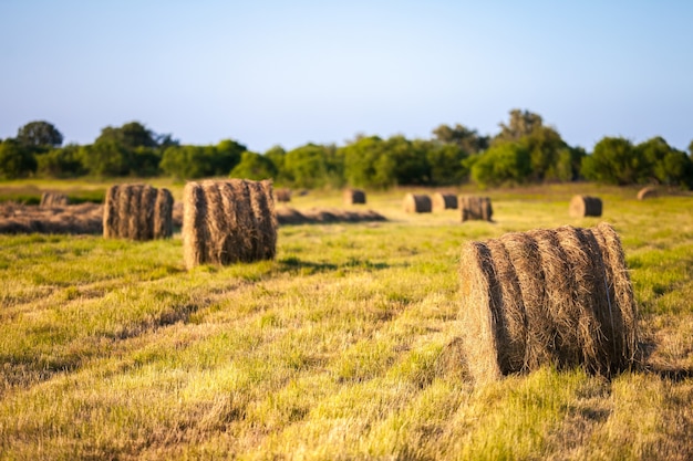 Heuhaufen auf dem Feld am Abend