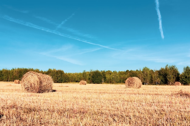 Heuhaufen auf einem Feld im Herbst