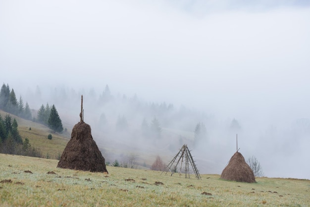 Heuhaufen auf einer Bergwiese