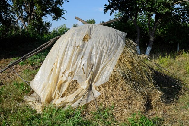 Foto heuhaufen ein heuhaufen aus gras heu heu machen