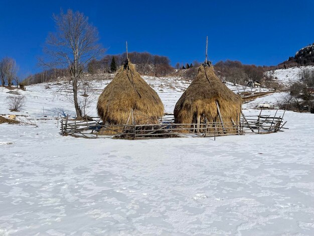 Foto heuhaufen im schnee