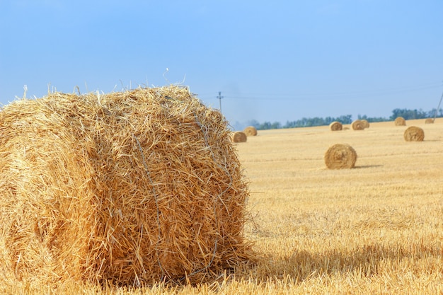 Heuhaufen im Sommerfeld ernten Hintergrund Midsimmer und ländliche Herbstszene mit Heuballen und ...