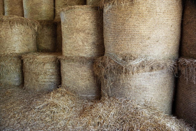 Heuhaufen im Stall