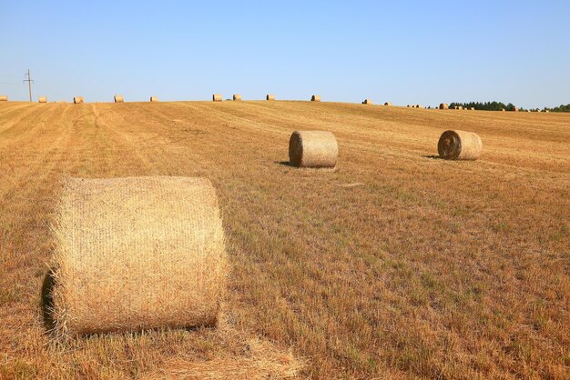 Heurolle Landschaft Natur Sommer Landwirtschaft