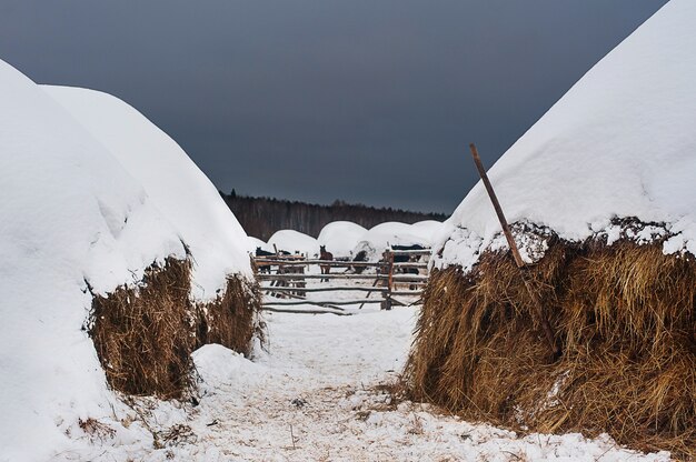 Heuschober auf dem Land im kalten Winter