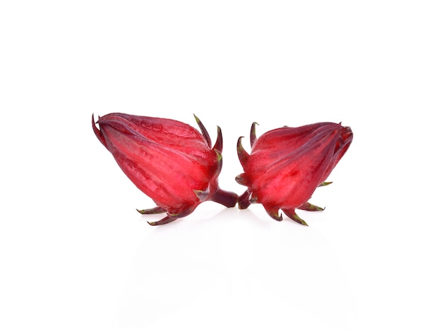 Hibiscus sabdariffa o roselle frutos aislados