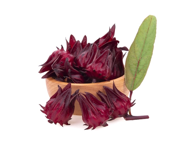 Hibiscus sabdariffa o roselle frutos en blanco