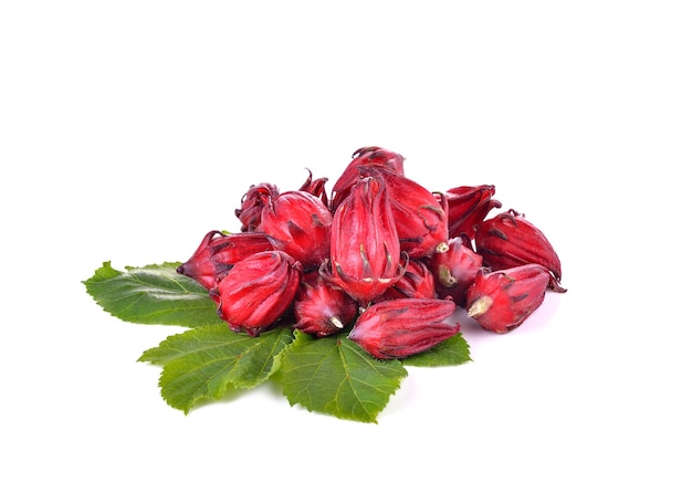 Hibiscus sabdariffa ou frutas roselle