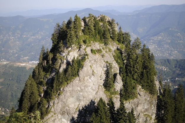 Hidirnebi-Plateau in der Stadt Akcaabat, 1450 - 1500 m hoch.