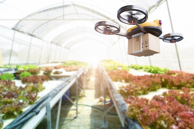 Hidroponía cultivo de verduras drone en el interior del negocio fondo de la granja moderna