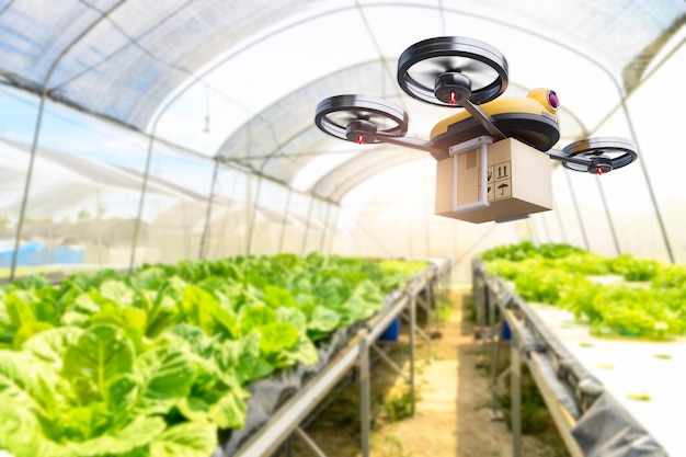 Hidroponía cultivo de verduras drone en el interior del negocio fondo de la granja moderna