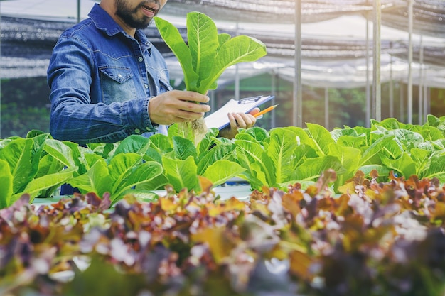 Hidroponia fazenda vegetal proprietário na estufa fazer uma pequena nota