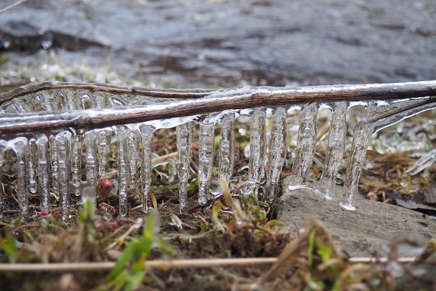 Foto el hielo es agua en un estado sólido de agregación. los helados de hielo y las estalactitas en las ramas de los árboles cerca del agua. el agua de la inundación de primavera forma cristales de una modificación cristalina del sistema hexagonal.