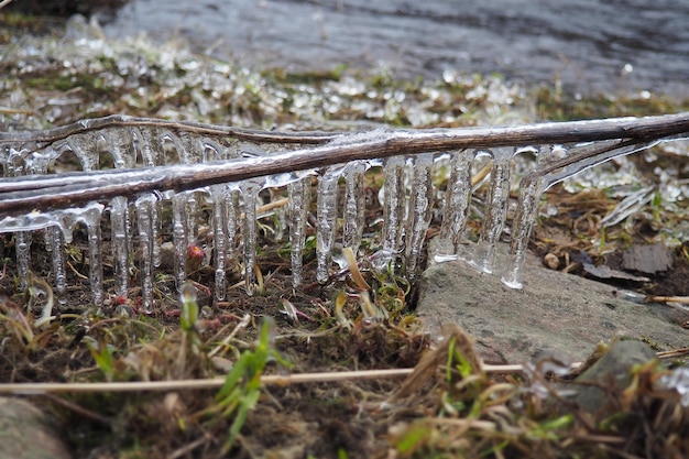 Foto el hielo es agua en un estado sólido de agregación. los helados de hielo y las estalactitas en las ramas de los árboles cerca del agua. el agua de la inundación de primavera forma cristales de una modificación cristalina del sistema hexagonal.