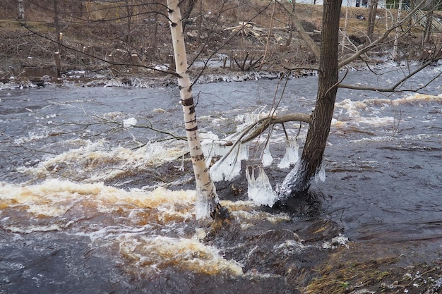 El hielo es agua en un estado sólido de agregación. Los helados de hielo y las estalactitas en las ramas de los árboles cerca del agua. El agua de la inundación de primavera forma cristales de una modificación cristalina del sistema hexagonal.