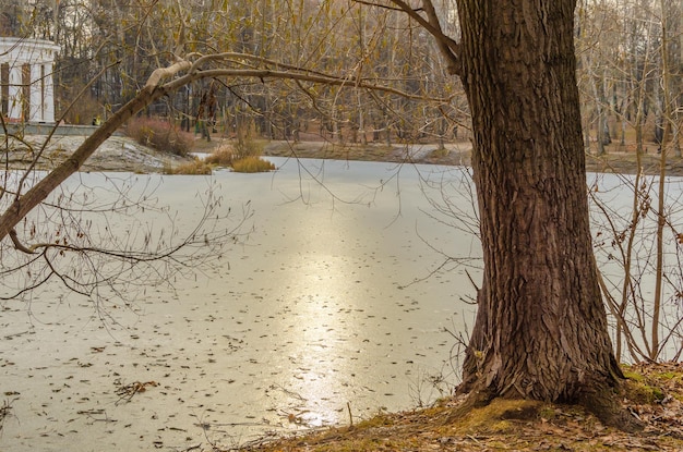 Hielo fino en un lago congelado en el parque.