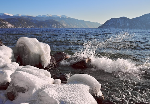 hielo y nieve en las rocas en la orilla del lago teletskoye que no se congela en invierno