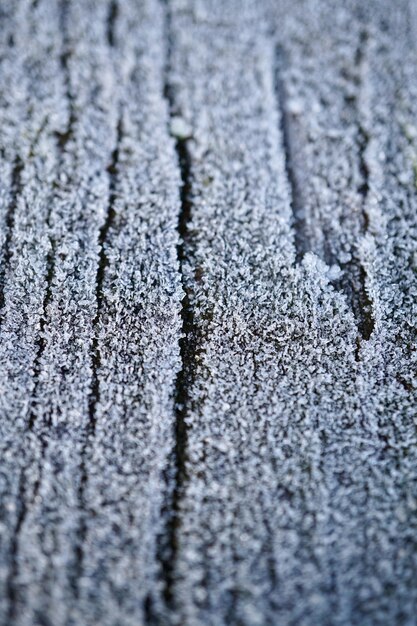 hielo en el suelo de madera