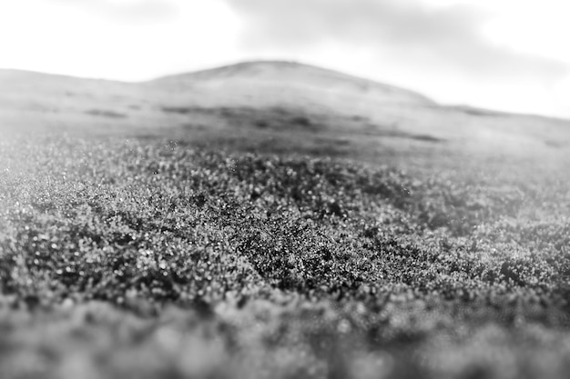 Hierba blanca y negra en la colina bokeh fondo hd