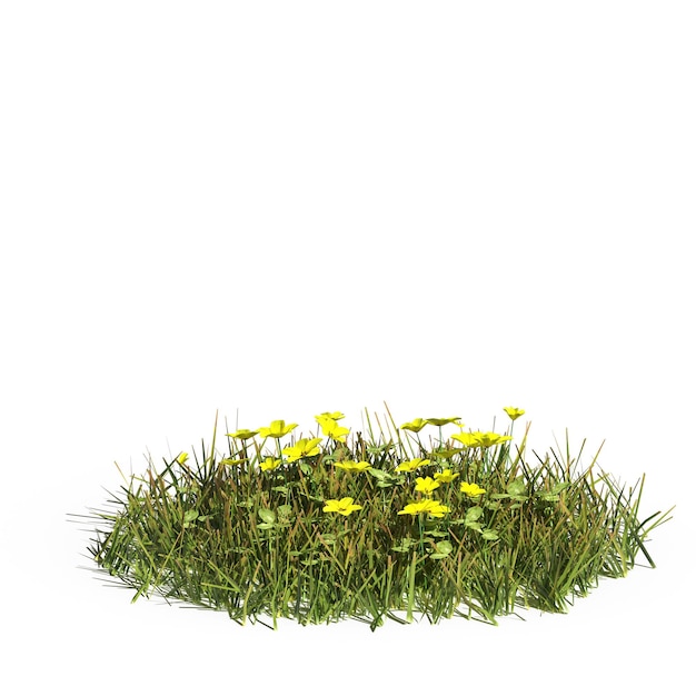 hierba de campo salvaje con una sombra debajo, aislada en fondo blanco, ilustración 3D, presentación cg