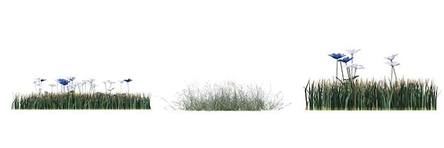 hierba de campo salvaje con una sombra debajo, aislada en fondo blanco, ilustración 3D, presentación cg