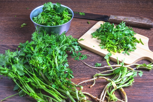 Hierba cilantro para la salud.