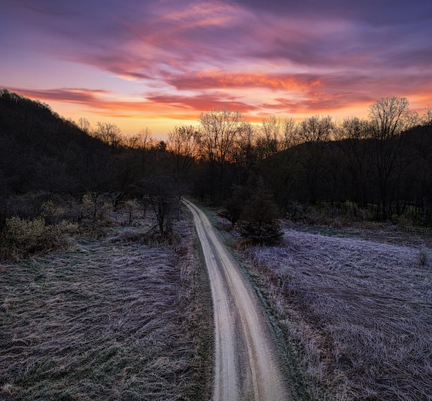 Foto la hierba cubierta de helada a lo largo de la carretera de tierra al anochecer
