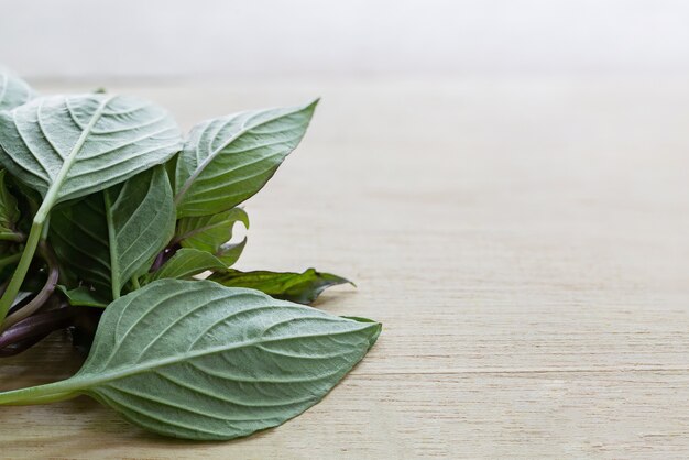 hierba fresca, albahaca en la mesa de madera