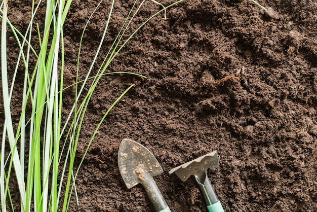 Hierba con horquilla de jardinería y pala sobre suelo.