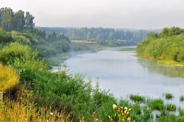 Hierba en la orilla del río Inya