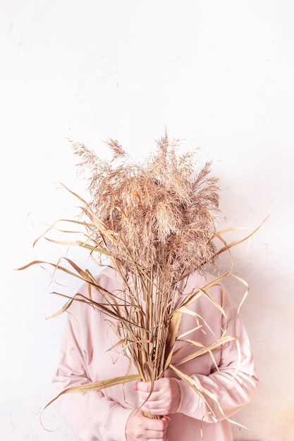 Hierba de la pampa en manos de mujer. Cortaderia selloana. Mujer sin rostro en vestido rosa contra abstracto